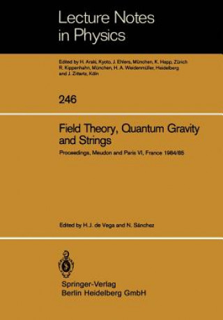 Könyv Field Theory, Quantum Gravity and Strings N. Sanchez