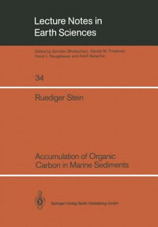 Kniha Accumulation of Organic Carbon in Marine Sediments Ruediger Stein