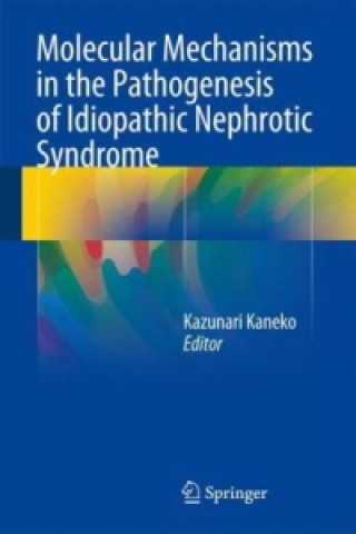 Könyv Molecular Mechanisms in the Pathogenesis of Idiopathic Nephrotic Syndrome Kazunari Kaneko