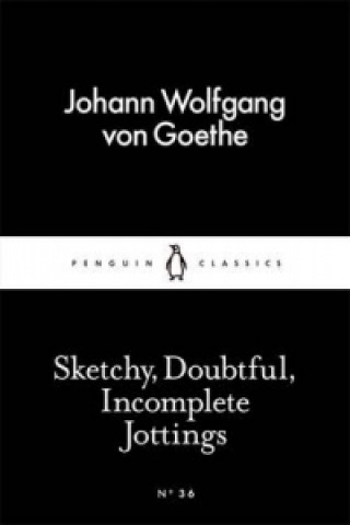 Książka Sketchy, Doubtful, Incomplete Jottings Johann Wolfgang von Goethe