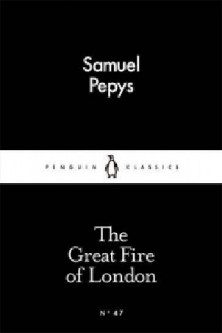Kniha Great Fire of London Samuel Pepys