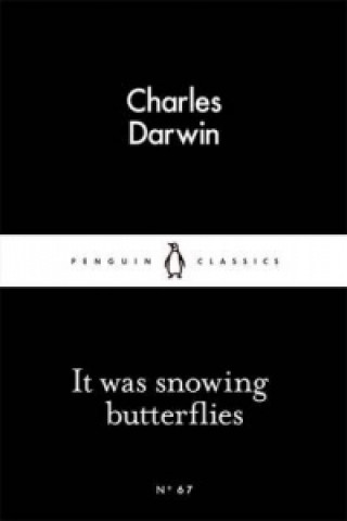 Kniha It Was Snowing Butterflies Charles Darwin