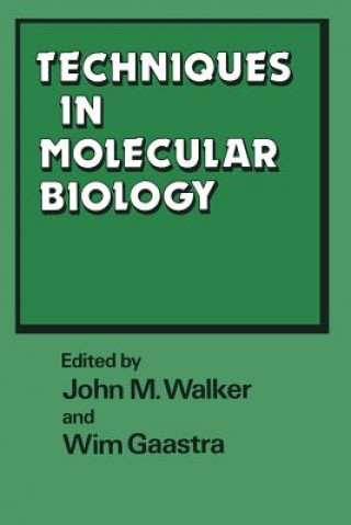 Kniha Techniques in Molecular Biology John M. Walker