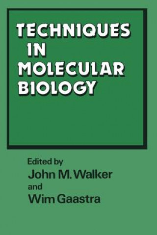 Könyv Techniques in Molecular Biology John M. Walker