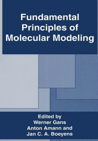 Kniha Fundamental Principles of Molecular Modeling Anton Amann