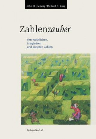 Buch Zahlenzauber John Conway