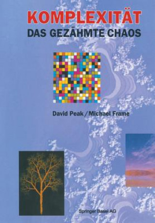 Kniha Komplexitat -- Das Gezahmte Chaos David Peak
