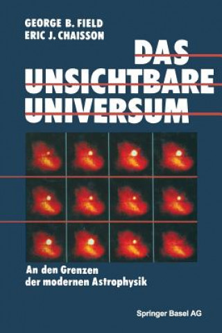 Kniha Das Unsichtbare Universum IELD