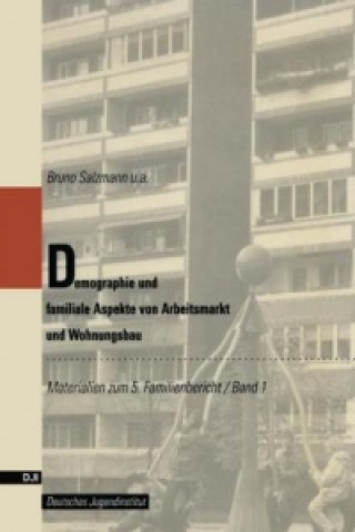 Kniha Demographie und familiale Aspekte von Arbeitsmarkt und Wohnungsbau Bruno Salzmann