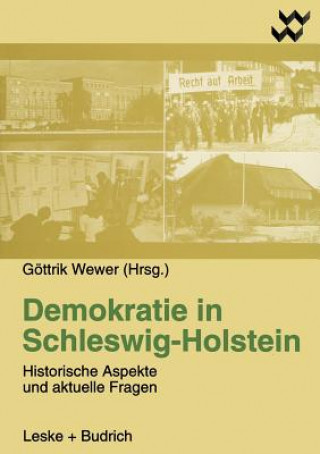 Buch Demokratie in Schleswig-Holstein Göttrik Wewer