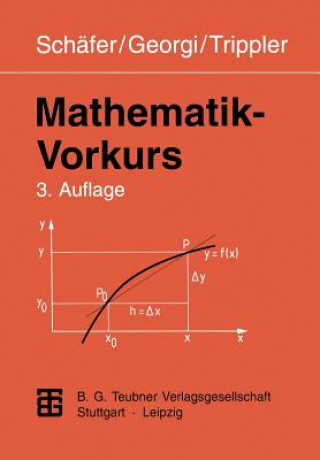 Kniha Mathematik-Vorkurs Wolfgang Schäfer