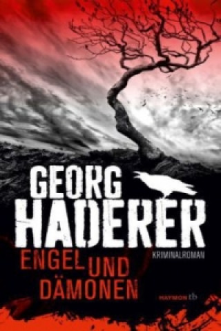 Book Engel und Dämonen Georg Haderer