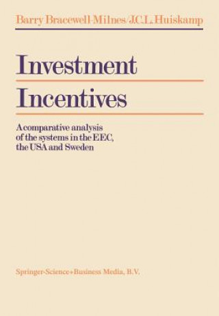 Książka Investment Incentives J. B. Bracewell-Milnes