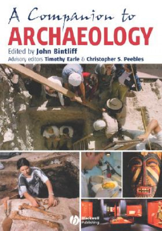 Kniha Companion to Archaeology Bintliff