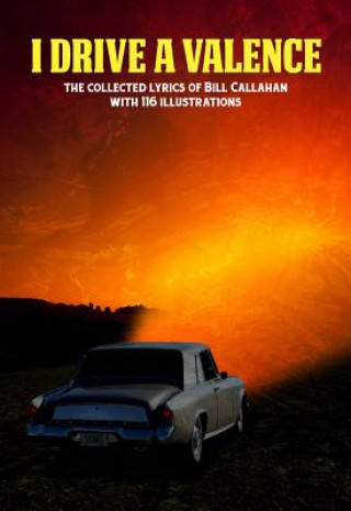Kniha Bill Callahan: I Drive A Valence Bill Callahan