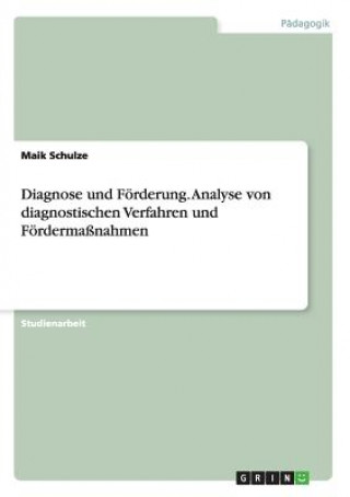 Książka Diagnose und Foerderung. Analyse von diagnostischen Verfahren und Foerdermassnahmen Maik Schulze