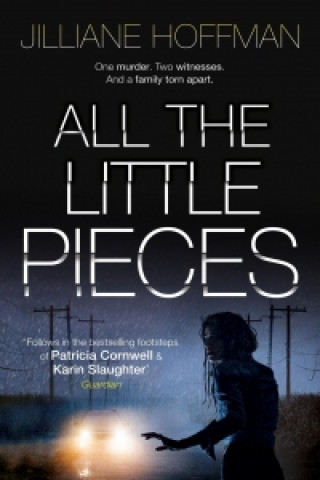 Könyv All The Little Pieces Jilliane Hoffman