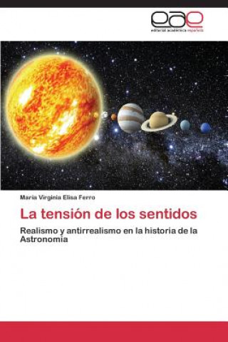 Buch tension de los sentidos María Virginia Elisa Ferro