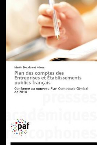 Könyv Plan Des Comptes Des Entreprises Et Etablissements Publics Francais Martin Dieudonné Ndene