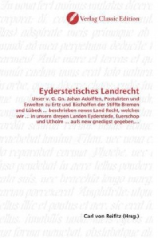 Buch Eyderstetisches Landrecht Carl von Reifitz