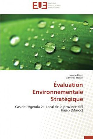 Könyv valuation Environnementale Strat gique Imane Berni