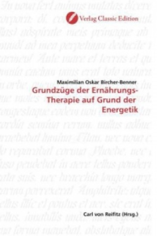 Könyv Grundzüge der Ernährungs-Therapie auf Grund der Energetik Maximilian Oskar Bircher-Benner