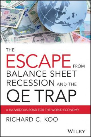 Kniha Escape from Balance Sheet Recession and the QE Trap - A Hazardous Road for the World Economy Richard C. Koo