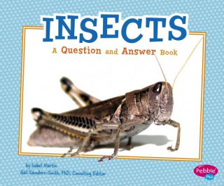 Könyv Insects: a Question and Answer Book (Animal Kingdom Questions and Answers) Isabel Martin