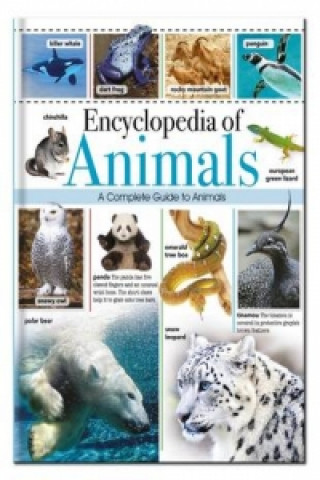 Kniha Encyclopedia of Animals 