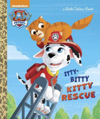 Kniha Itty-Bitty Kitty Rescue Ursula Ziegler Sullivan