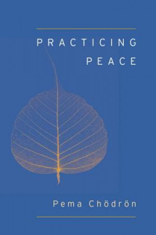 Kniha Practicing Peace (Shambhala Pocket Classic) Pema Chodron