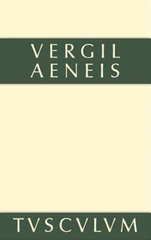 Kniha Aeneis ergil