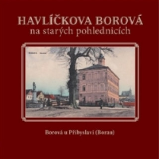 Könyv Havlíčkova Borová na starých pohlednicích Karel Černý