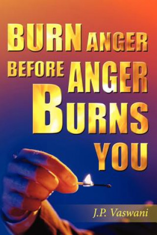 Livre Burn Anger Before Anger Burns You J. P. Vaswani