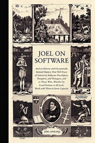 Könyv Joel on Software Avram Joel Spolsky