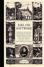 Carte Joel on Software Avram Joel Spolsky