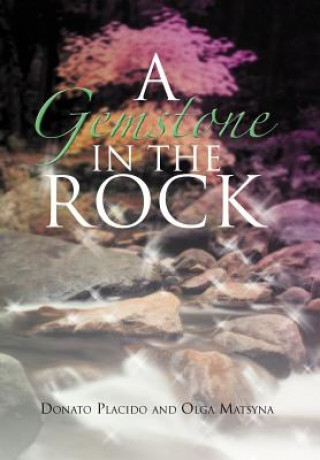 Book Gemstone in the Rock Olga Matsyna