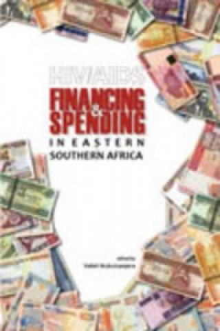 Buch HIV/AIDS Financing and Spending in Eastern and Southern Africa 