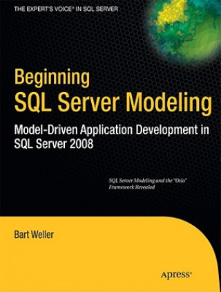 Kniha Beginning SQL Server Modeling Bart Weller