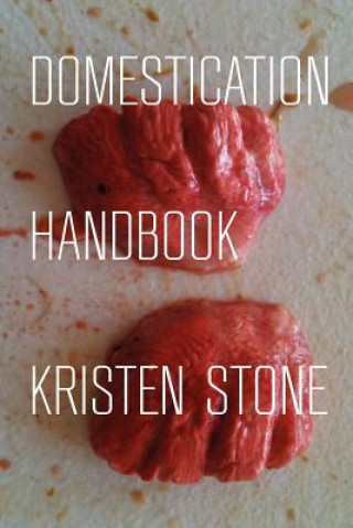 Kniha Domestication Handbook Kristen Stone