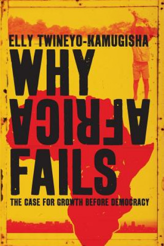 Kniha Why Africa Fails Elly Twineyo-Kamigusha