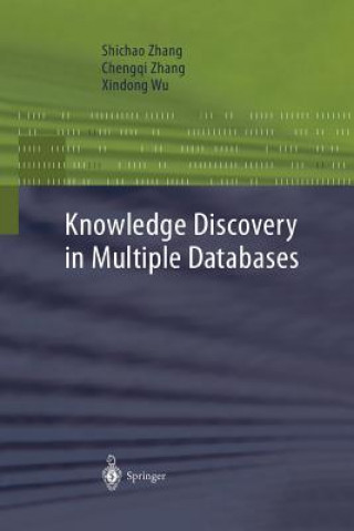 Kniha Knowledge Discovery in Multiple Databases Xindong Wu