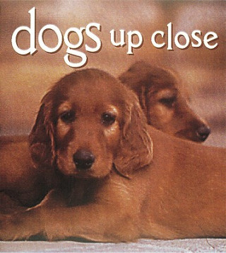 Kniha Dogs Up Close Vicki Croke