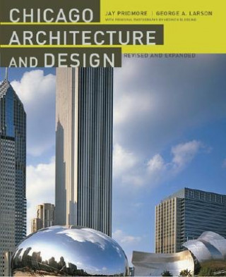 Könyv Chicago Architecture and Design George A. Larson