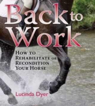 Könyv Back to Work Lucinda Dyer