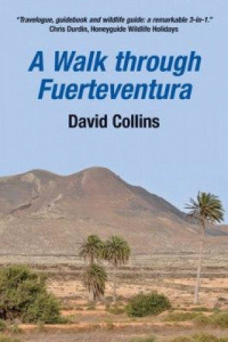 Książka Walk Through Fuerteventura David Collins