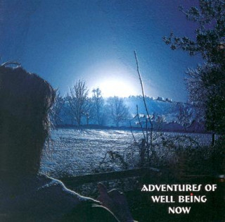 Audio Adventures of Well Being Now Nick Kemp