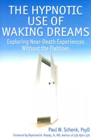 Buch Hypnotic Use of Waking Dreams Paul Schenk