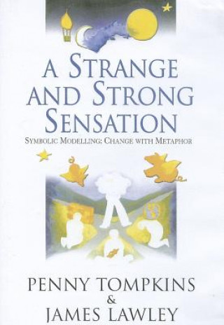 Kniha Strange and Strong Sensation James Derek Lawley