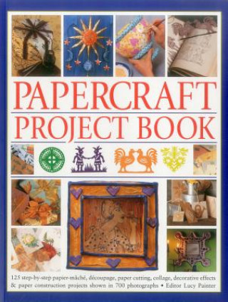 Kniha Papercraft Project Book Lucy Painter
